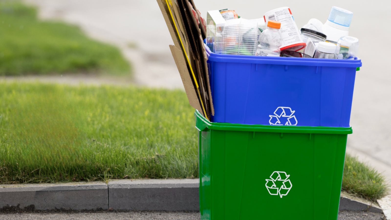 recycling bins sitting on the grassy curb