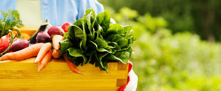 fresh vegetables in a wooden crate