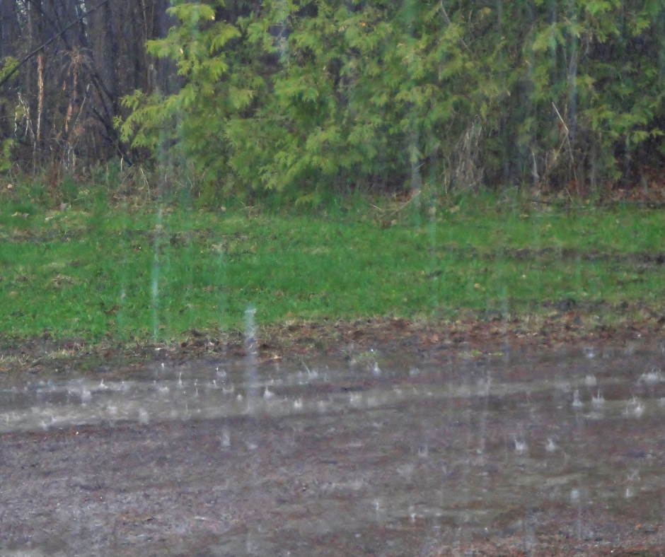 heavy rainfall on a grassy roadside