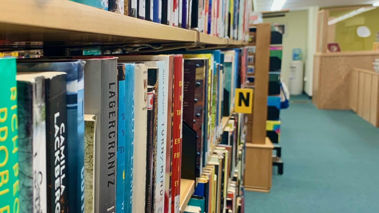 Library Shelves of Books